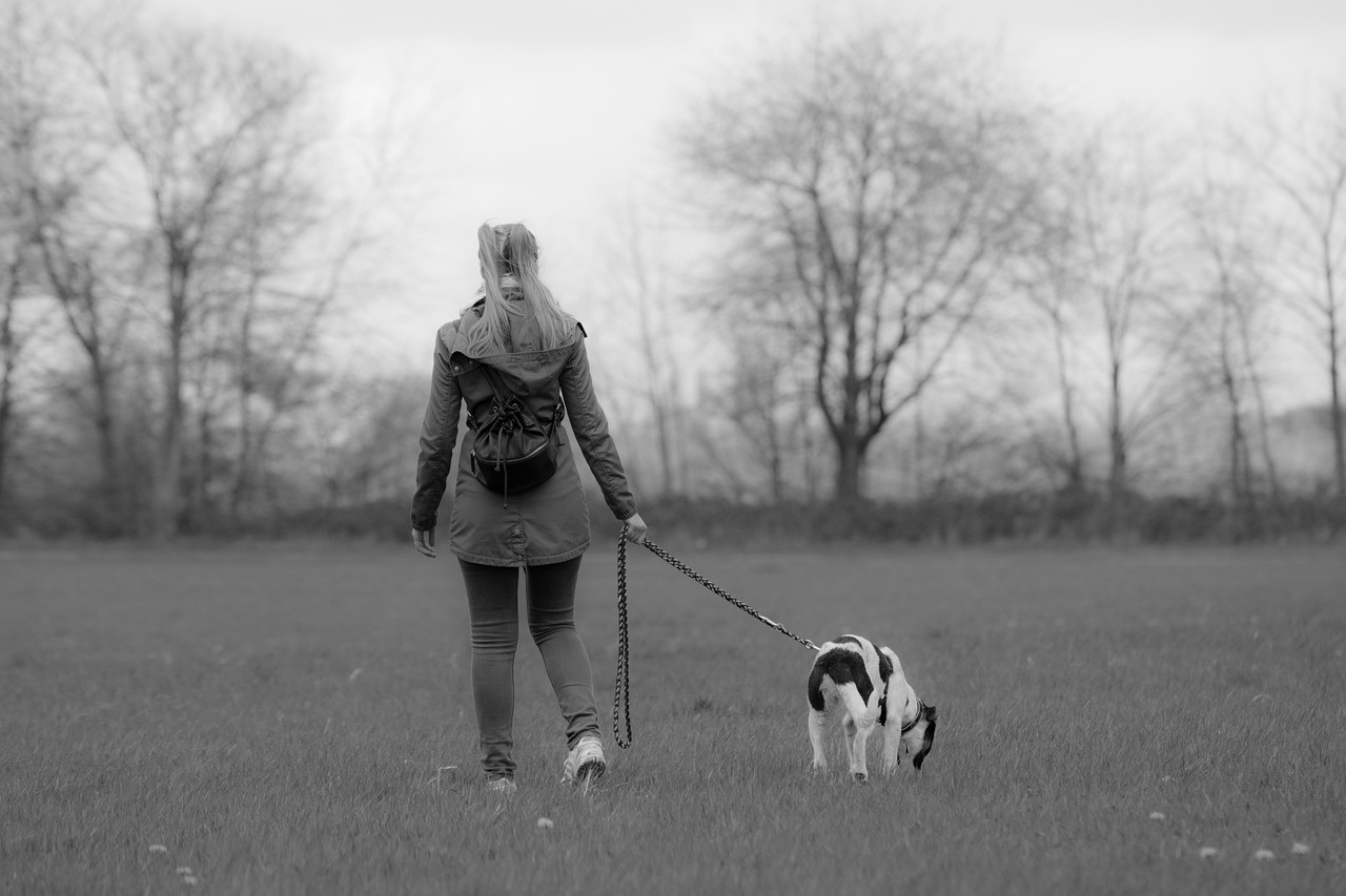 Leinenpflicht Leinenzwang Hunde » Auf was bei Leinenpflicht achten